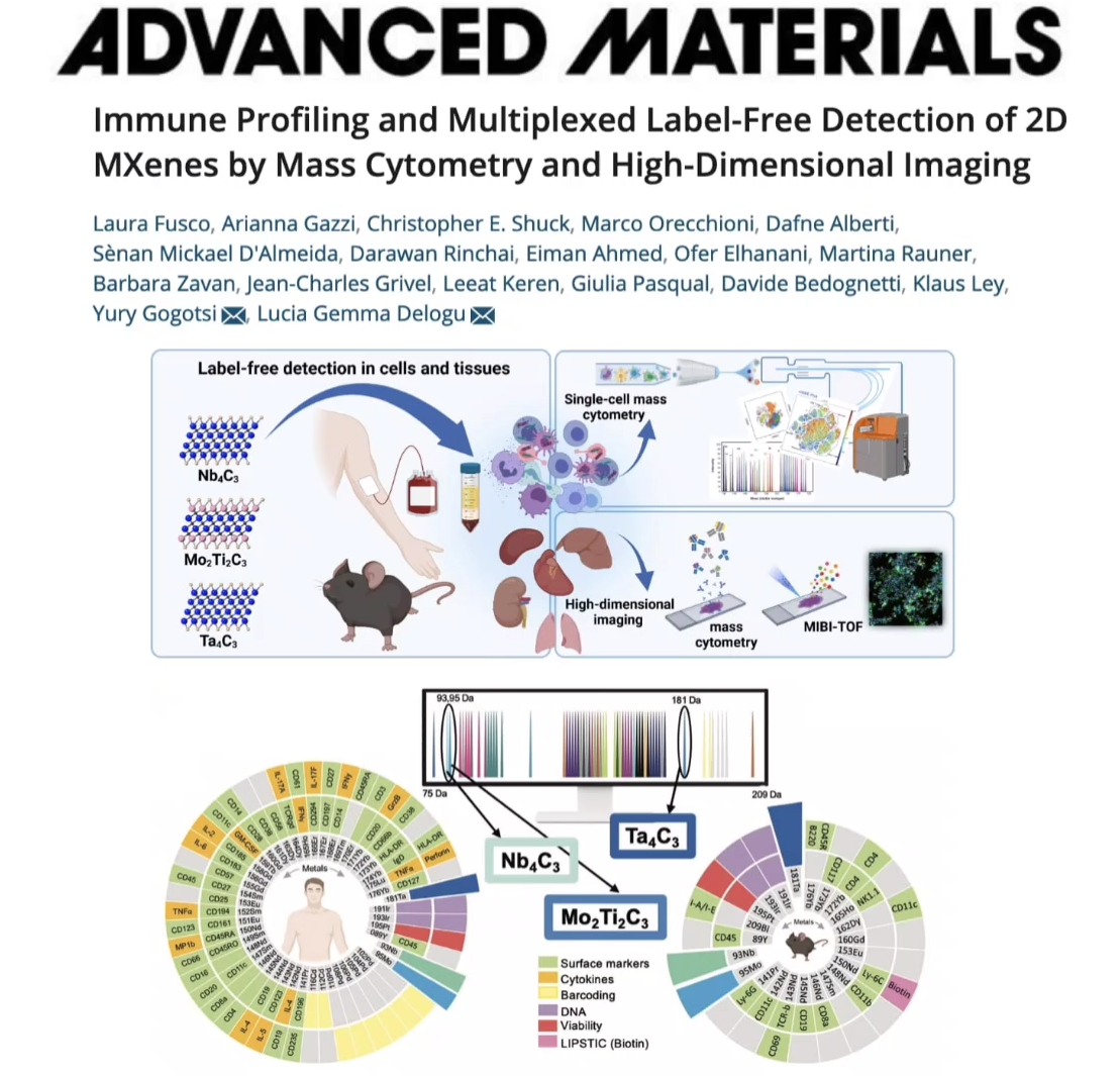 Scopri di più sull'articolo Our latest paper published in Advanced Materials