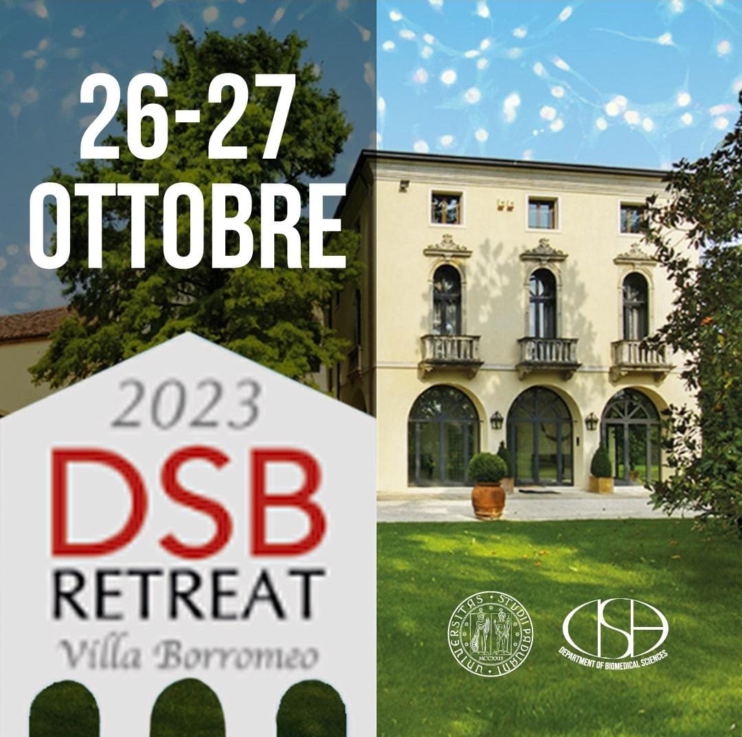 The ImmuneNano-Lab among the finalists of the video contest at the DBS retreat