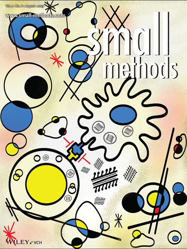 Our latest paper and cover on Small Methods