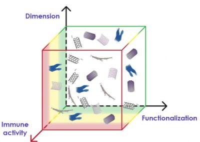 Nanoimmunity-by-design